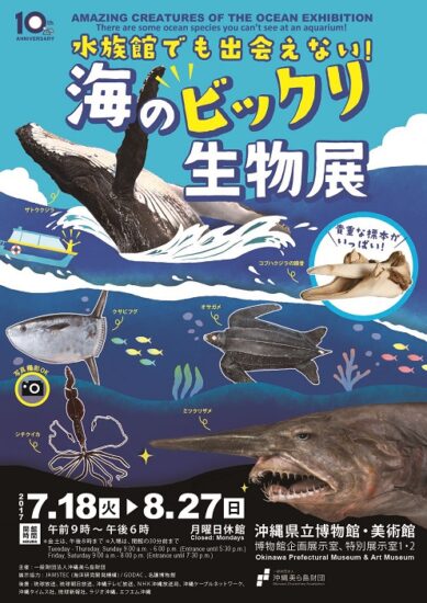 水族館でも出会えない！海のビックリ生物展