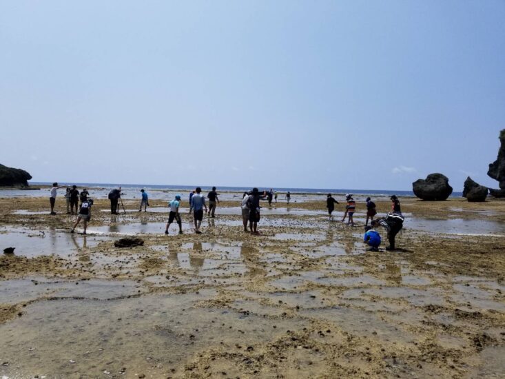 海のこども体験合宿 2日目