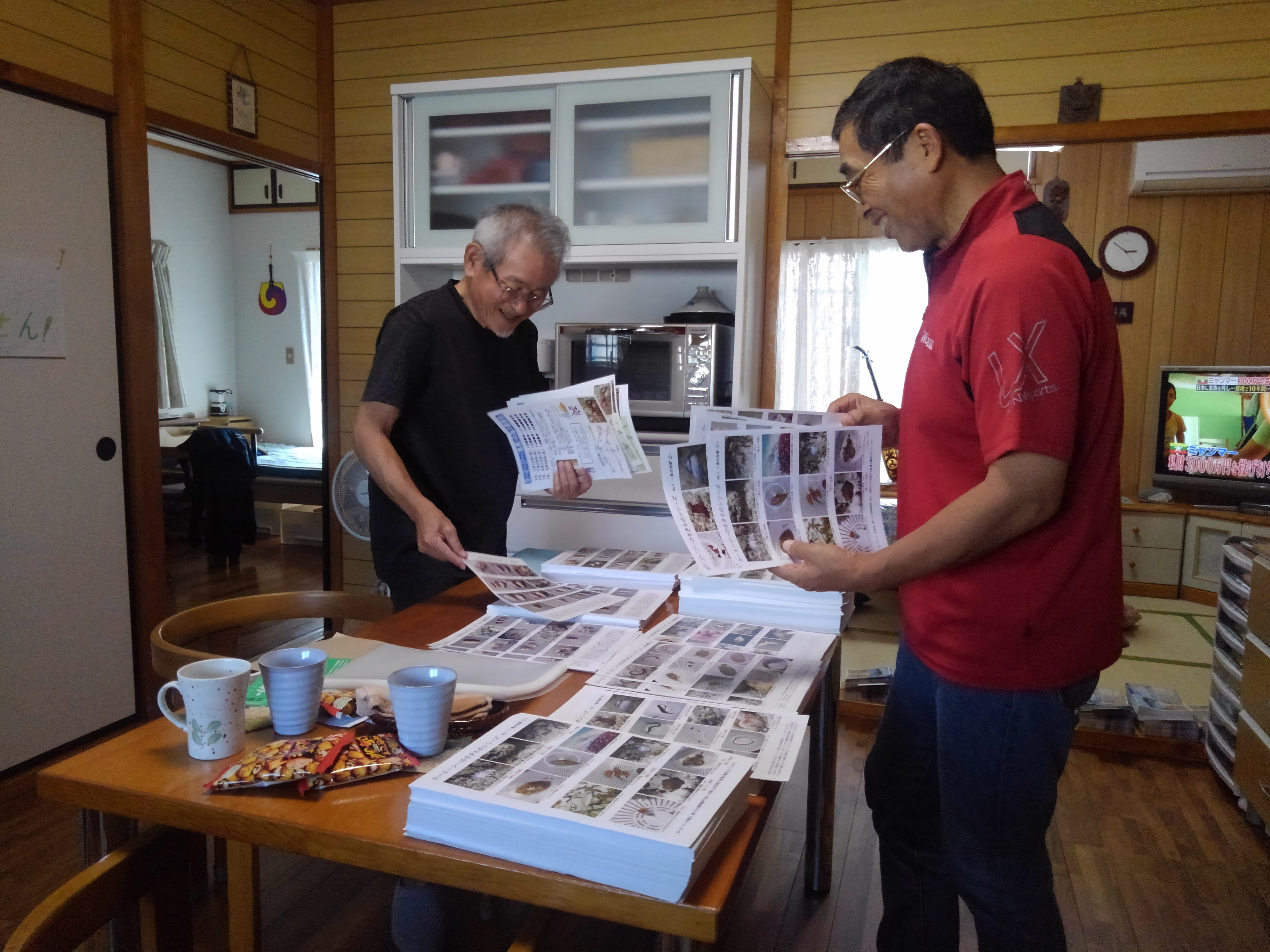 カーミージーの海の生きものたち パンフレット制作にかけた想い 海と日本project In 沖縄県 海do宝