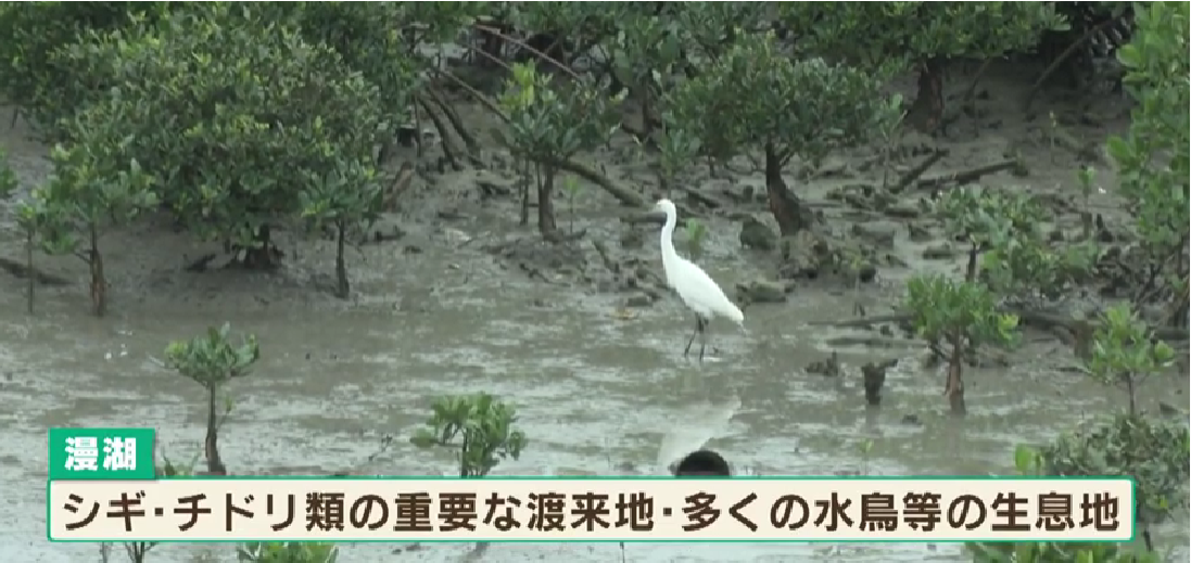 2022#9】いつでもどこでも干潟を学べる新たなコンテンツ！ | 海と日本