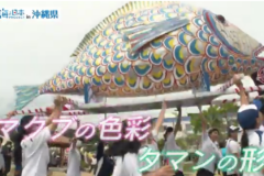 【2024#3】【神聖な島の祭り】沖縄・平安座島の「サングワチャー」で繰り広げられるカラフルな魚のお神輿！