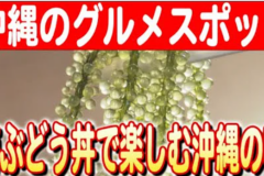 【2024#8】【海ぶどうの極み】沖縄・恩納村の「海ぶどう丼」〜万座毛で味わう贅沢な一品