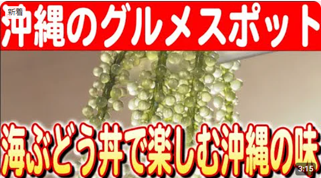 【2024#8】【海ぶどうの極み】沖縄・恩納村の「海ぶどう丼」〜万座毛で味わう贅沢な一品