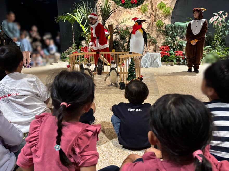 クリスマスにおすすめ「DMMかりゆし水族館」　沖縄双子レポートvol8（2024）