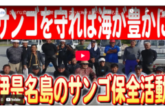 【2024#34】【いぜな島のサンゴ礁を愛する会】豊かな海を未来へ！伊是名島の人々が取り組むサンゴ保全活動