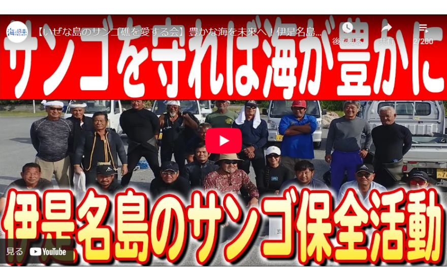 【2024#34】【いぜな島のサンゴ礁を愛する会】豊かな海を未来へ！伊是名島の人々が取り組むサンゴ保全活動