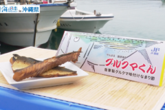 【2025#3】未利用魚を特産品に！ 国頭で爆誕グルクマくん