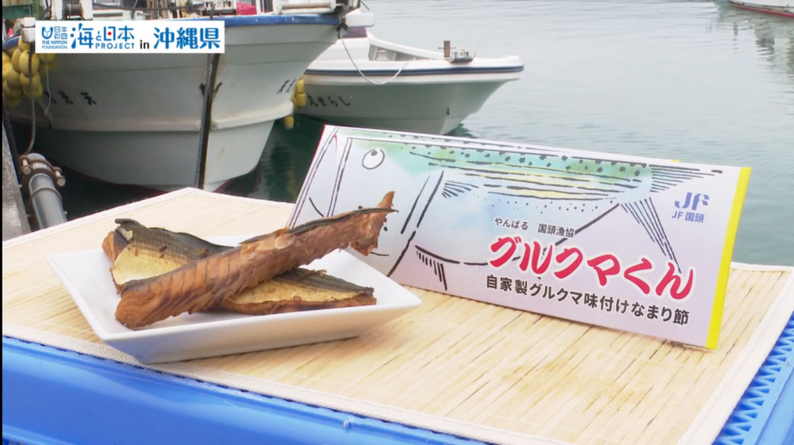 【2025#3】未利用魚を特産品に！ 国頭で爆誕グルクマくん