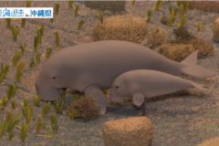 【2025#4】縄文時代にタイムスリップ！？ 北谷町立博物館