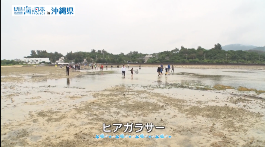 【2025#7】伝統漁法ヒアガラサー