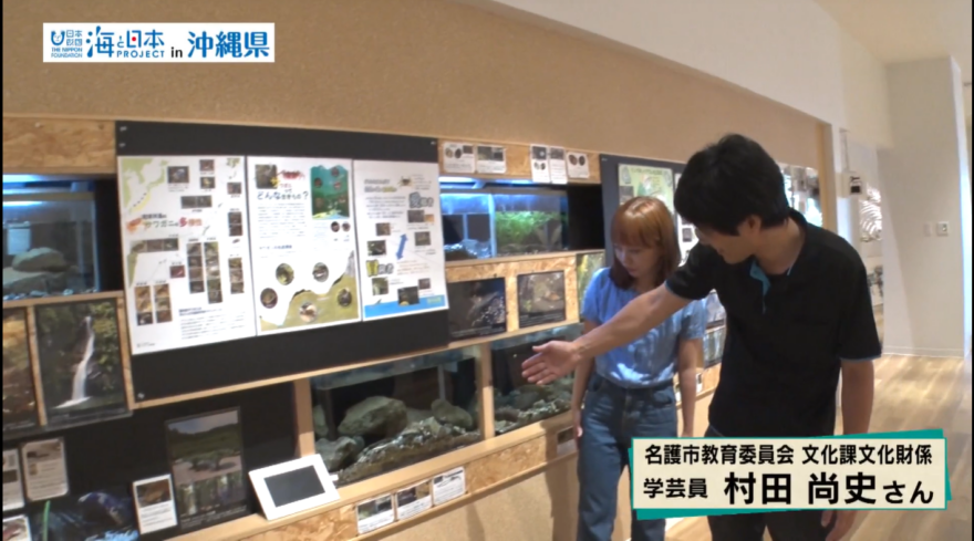 【2025#15】名護博物館で川の生き物を学ぼう！