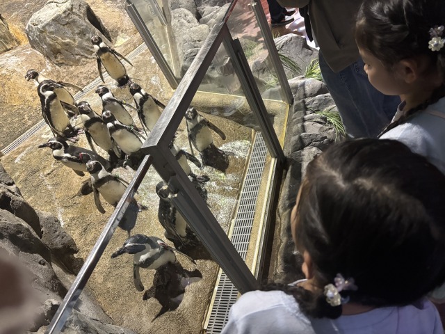 新年に行ってきましたDMMかりゆし水族館！ vol8（2025）