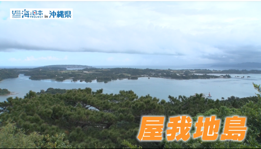 【2025#30】屋我地エコツーネット マングローブ散策