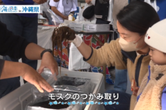 【2025#32】恩納村産業まつり