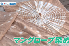 【2025#31】屋我地エコツーネット　マングローブ染め