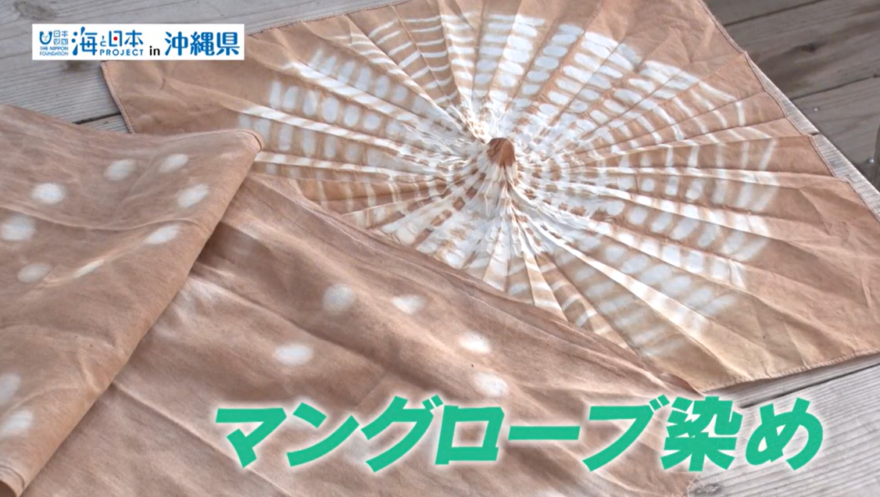 【2025#31】屋我地エコツーネット　マングローブ染め